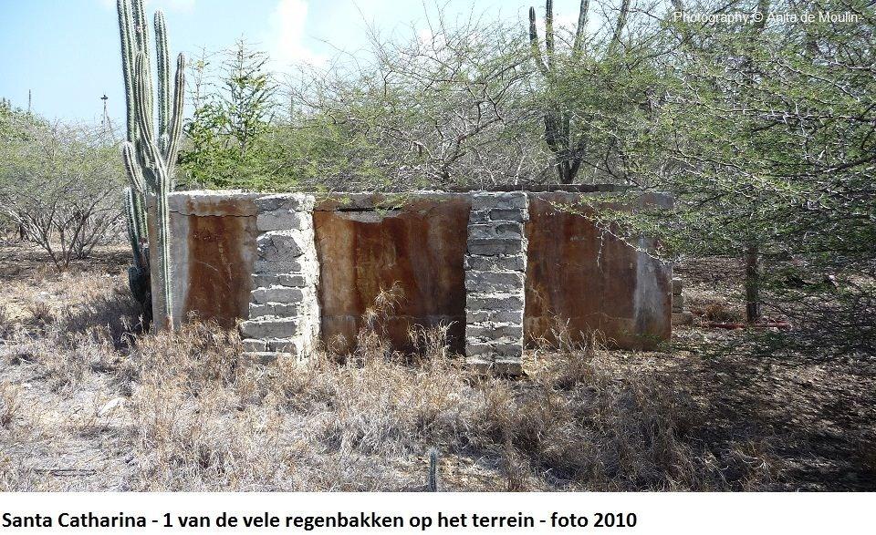 36. Santa Catharina 1 van de regenbakken 2010